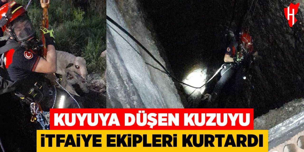 Kuyuya düşen kuzuya itfaiyeden nefes kesen kurtarma