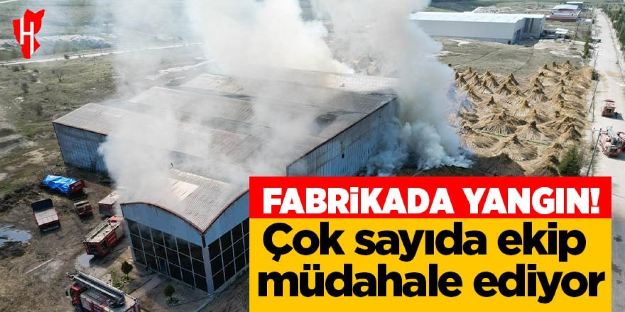 Fabrika yangınına yoğun müdahale!