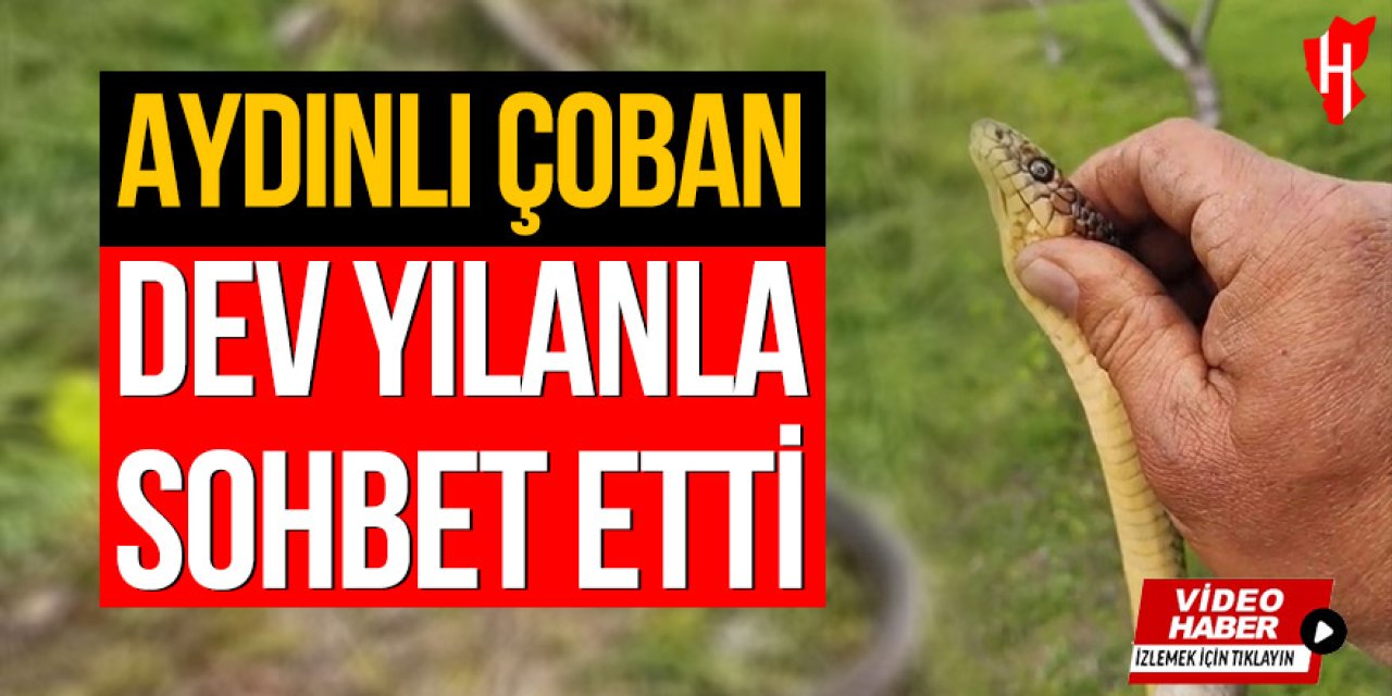 Aydınlı çoban dev yılanla sohbet etti
