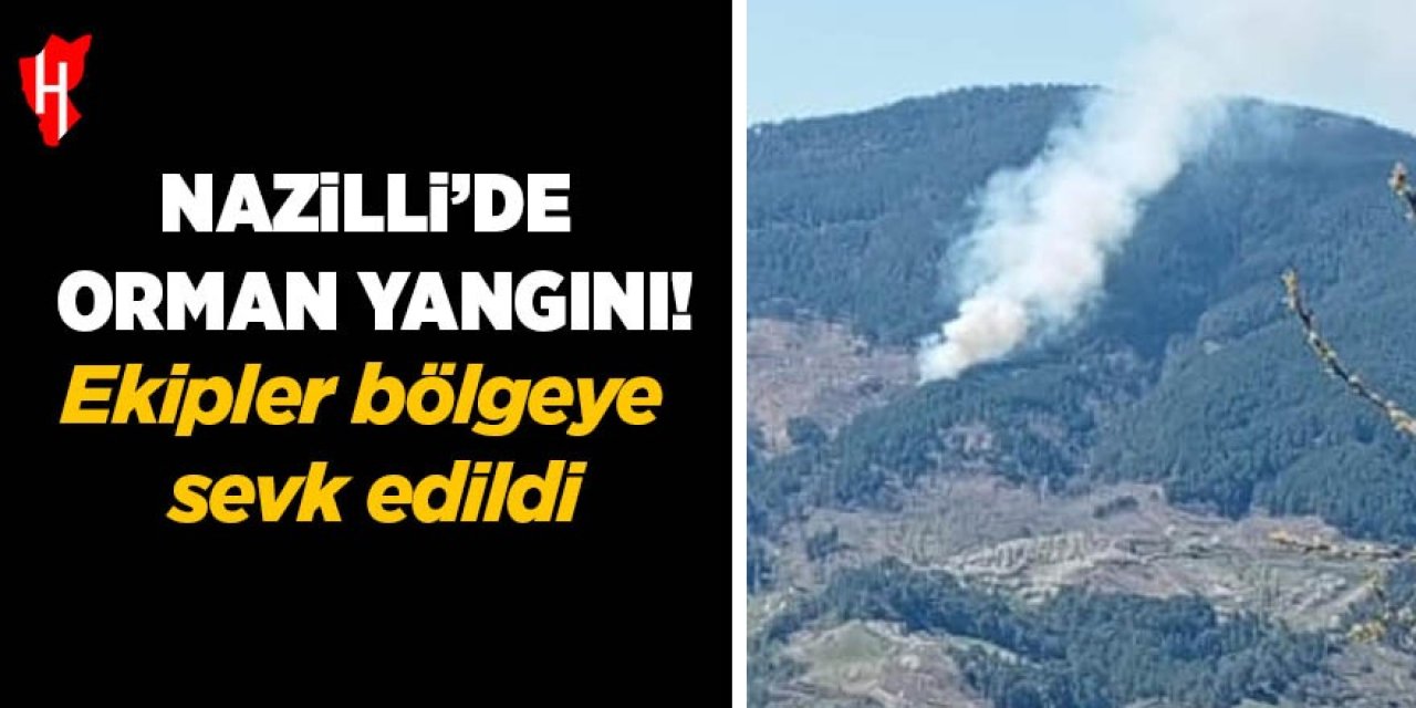 Nazilli'de orman yangını
