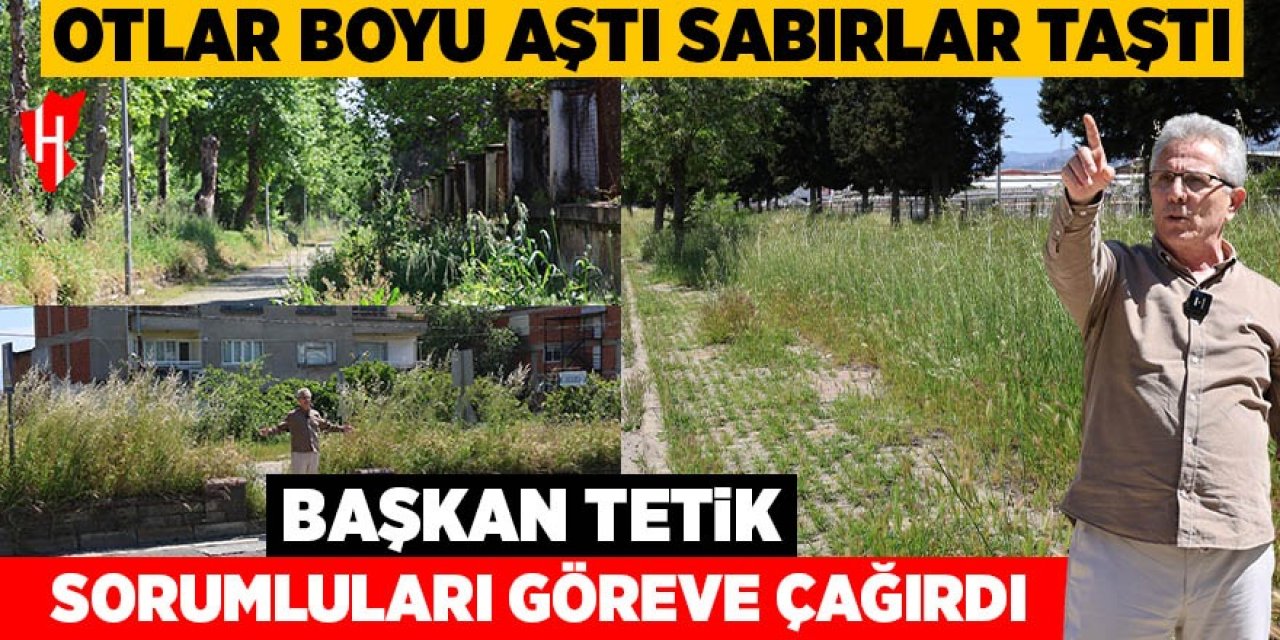 Otlar boyu aştı sabırlar taştı: Başkan Tetik sorumluları göreve çağırdı