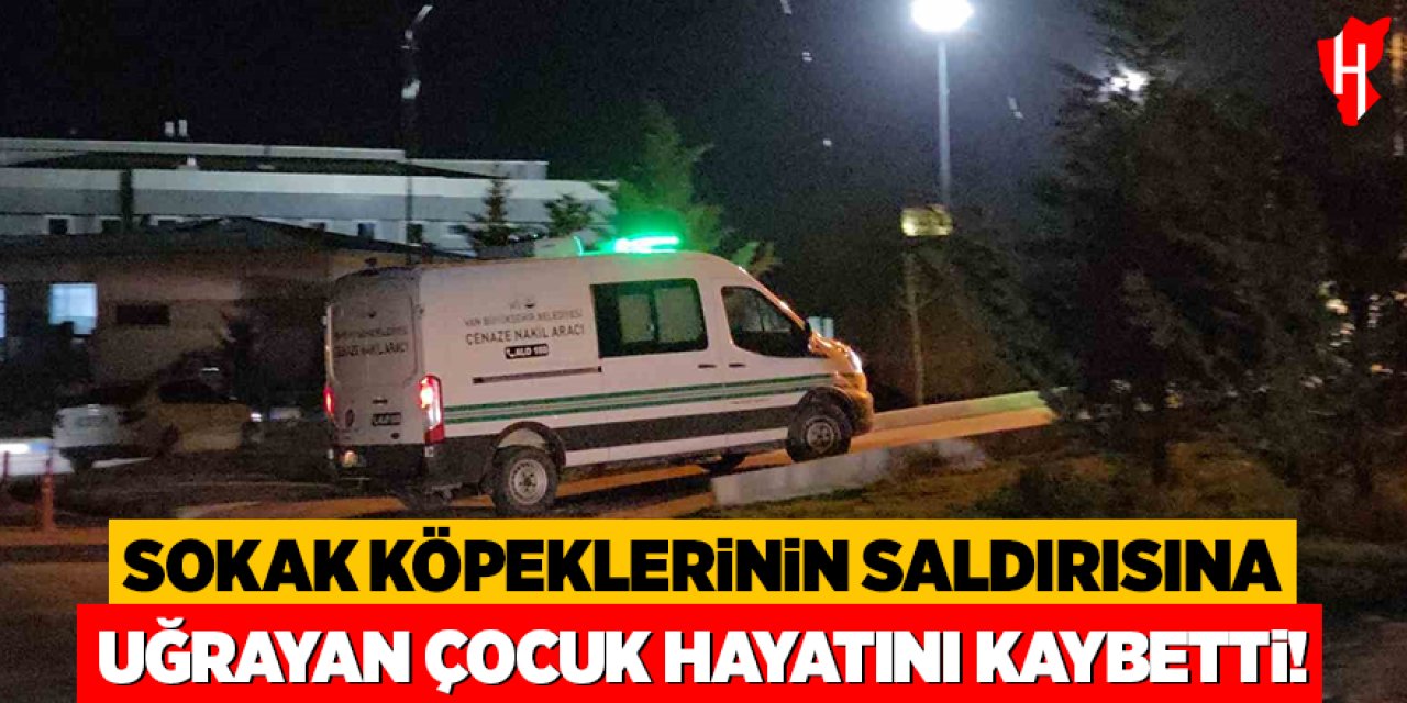Sokak köpeklerinin saldırısına uğrayan çocuk hayatını kaybetti