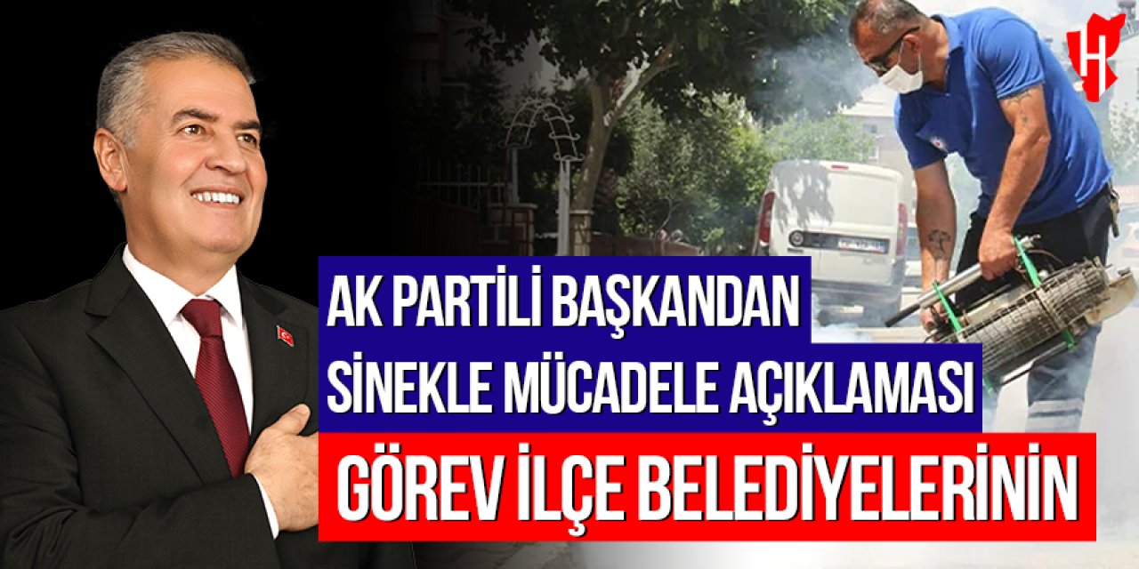 AK Partili başkandan sinekle mücadele açıklaması: Görev ilçe belediyelerinin