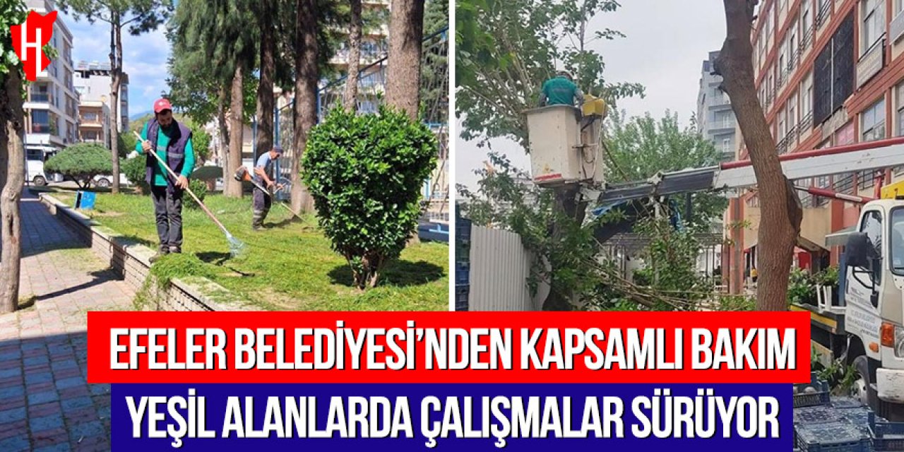 Efeler Belediyesi’nden kapsamlı bakım: Yeşil alanlarda çalışmalar sürüyor