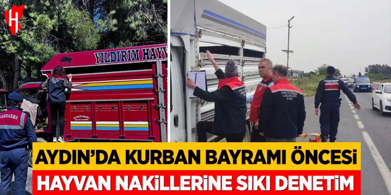 Aydın’da Kurban Bayramı öncesi hayvan nakillerine sıkı denetim