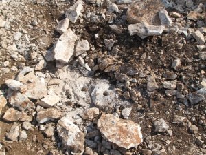 Didim’de Jandarma Kaçak Kazıya Suçüstü Yaptı