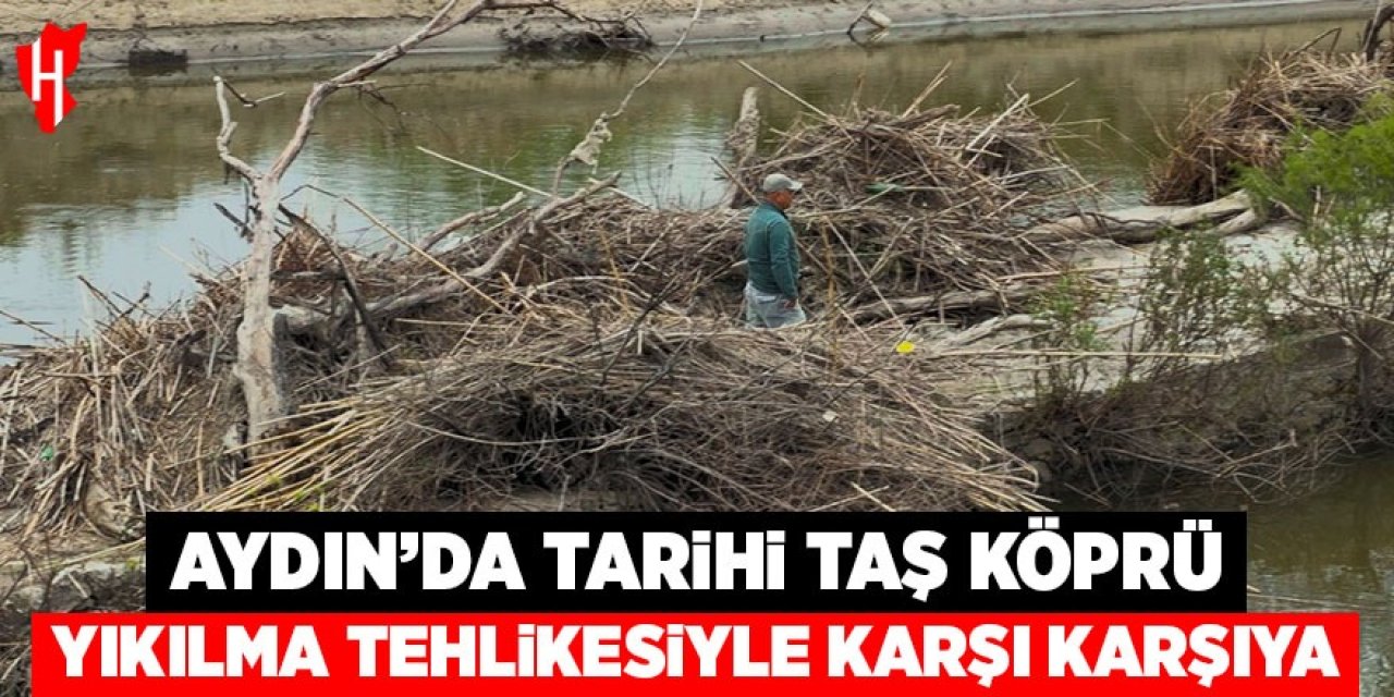 Aydın'da tarihi taş köprü yıkılma tehlikesiyle karşı karşıya