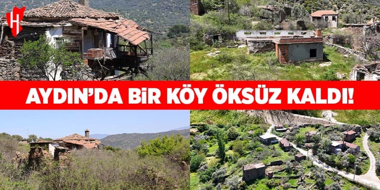 Aydın'da bir köy öksüz kaldı!
