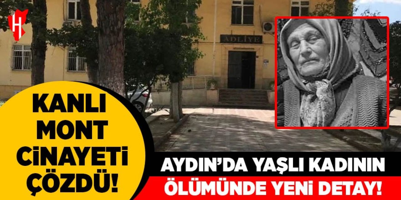 Germencik'teki anne cinayetinde ikinci tutuklama