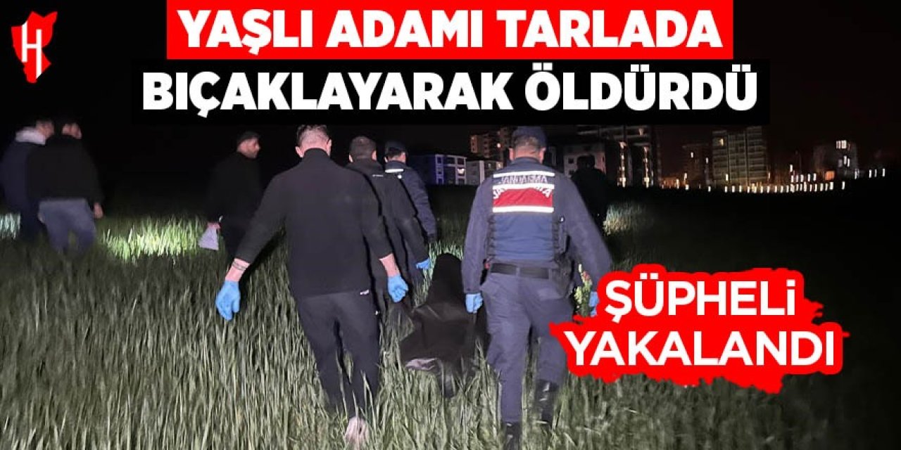 Yaşlı adamı tarlada bıçaklayarak öldüren şüpheli yakalandı