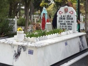 Çine Belediyesi, Şehit Mezarlarının Bakımını Yaptı