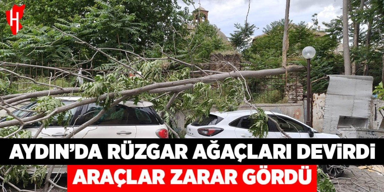 Aydın'da rüzgar ağaçları devirdi: Araçlar zarar gördü