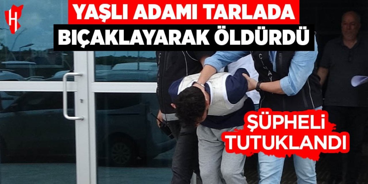Yaşlı adamı tarlada bıçaklayarak öldürdü: Şüpheli tutuklandı