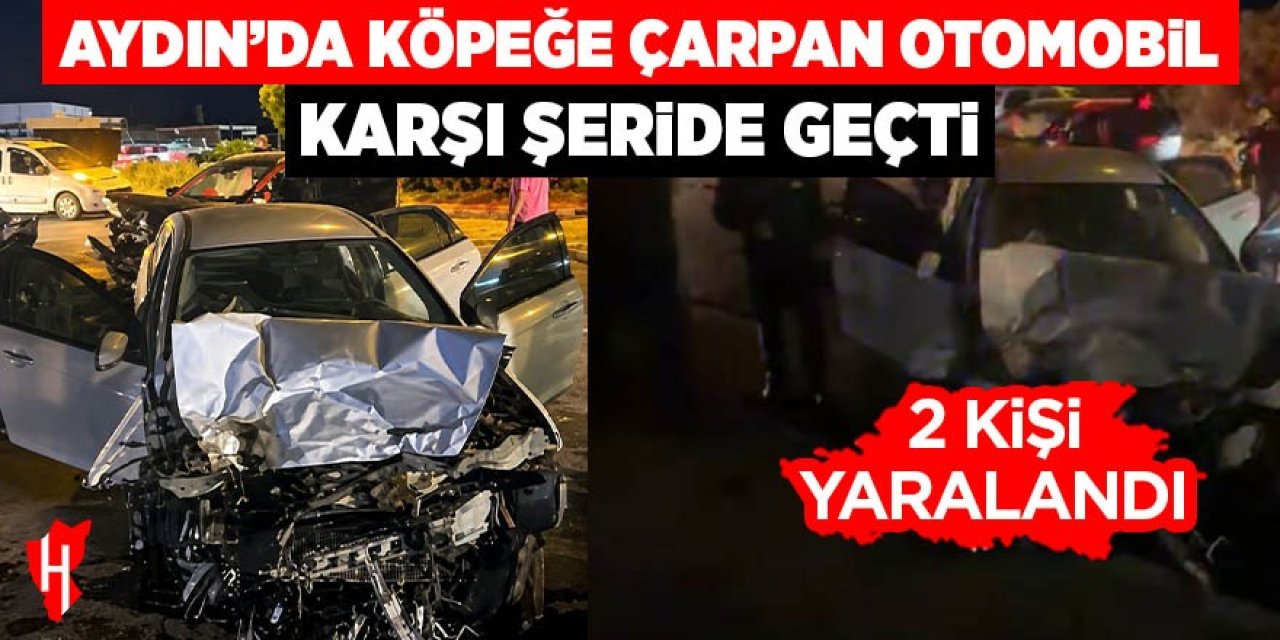 Aydın'da köpeğe çarpan otomobil karşı şeride geçti: 2 yaralı
