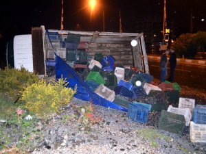 Söke'de Zeytin Yüklü Kamyonet Devrildi