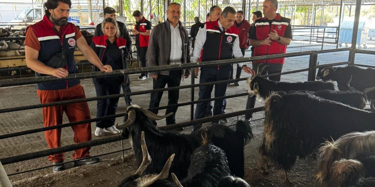 Aydın’da kurbanlık satış noktalarında kontrol yapıldı