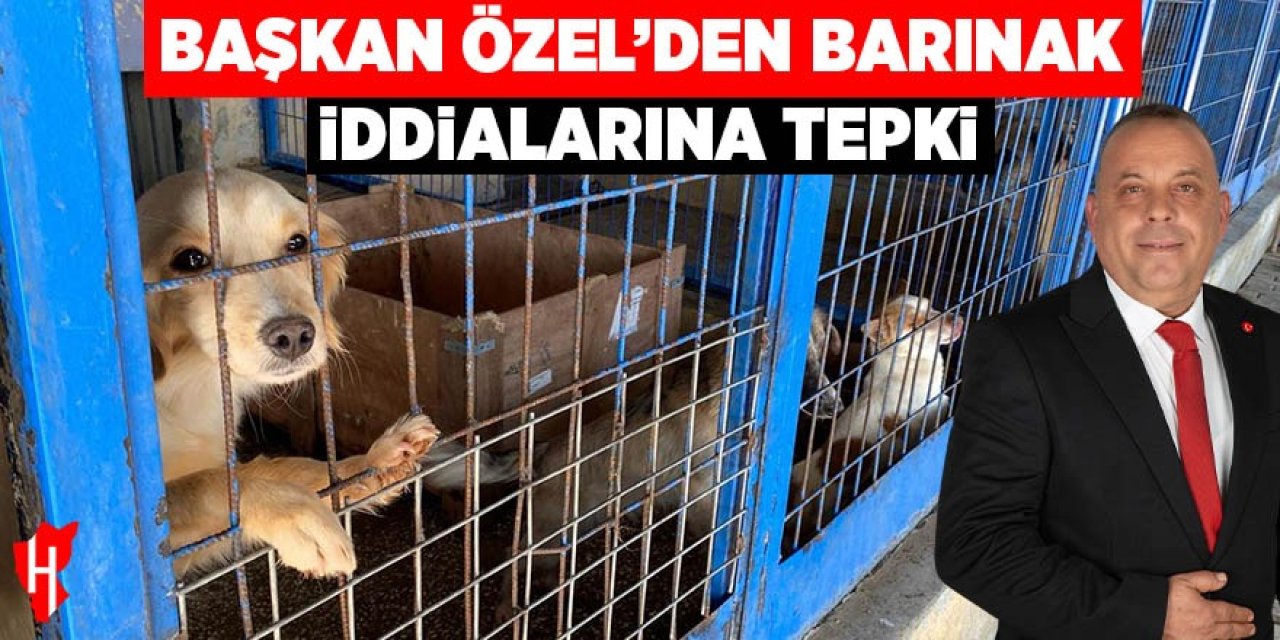 Başkan Özel'den barınak iddialarına tepki