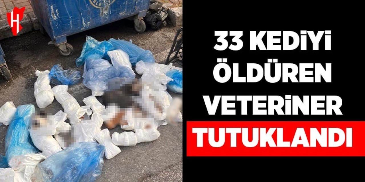 33 kediyi öldüren veteriner tutuklandı