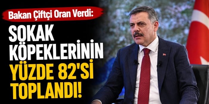Bakan Çiftçi duyurdu: Sokak köpeklerinin yüzde 82’si toplandı