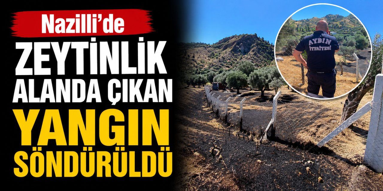 Nazilli'de zeytinlik alanda çıkan yangın söndürüldü