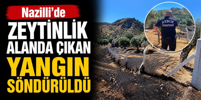 Nazilli'de zeytinlik alanda çıkan yangın söndürüldü