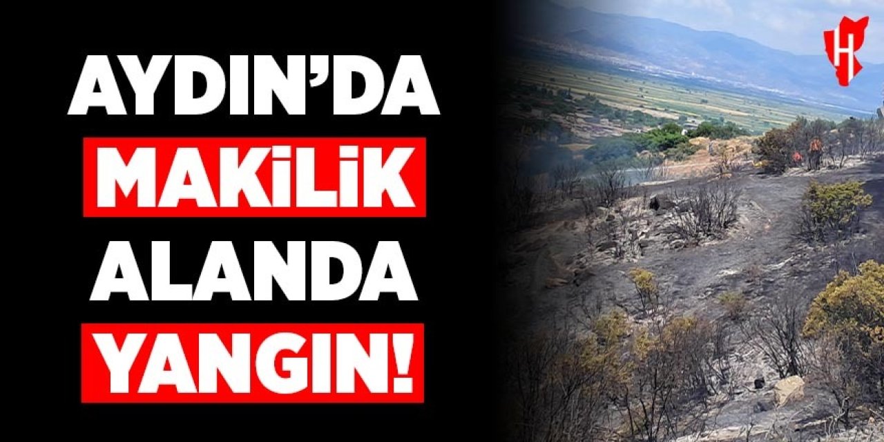 Aydın'da makilik alanda yangın
