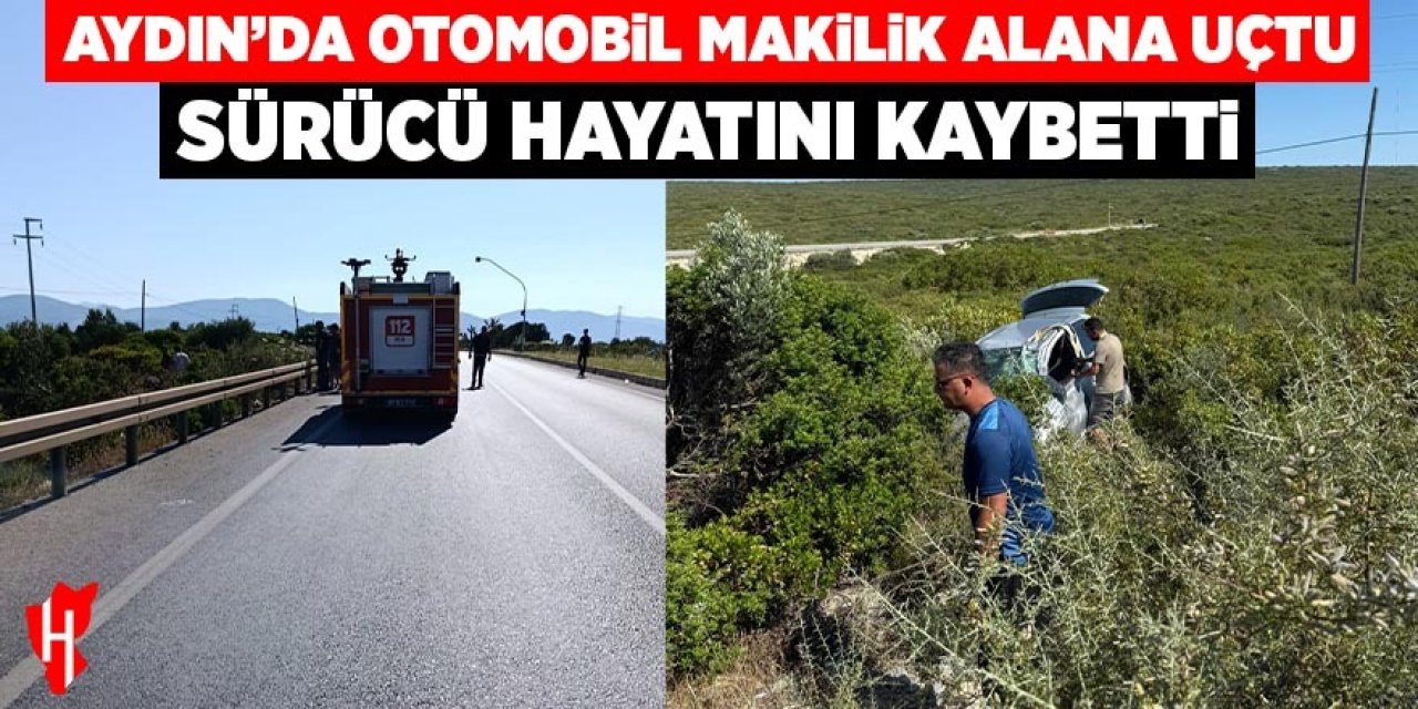 Aydın'da otomobil makilik alana uçtu: Sürücü hayatını kaybetti
