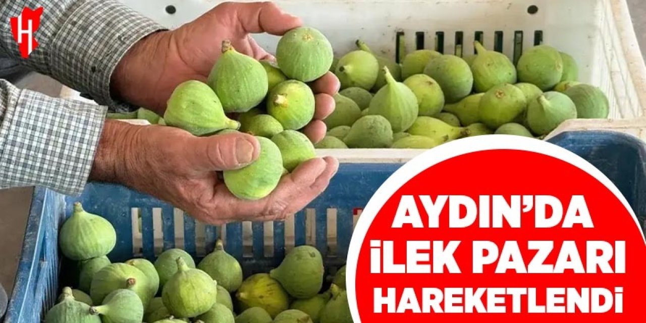 Aydın'da ilek pazarı hareketlendi