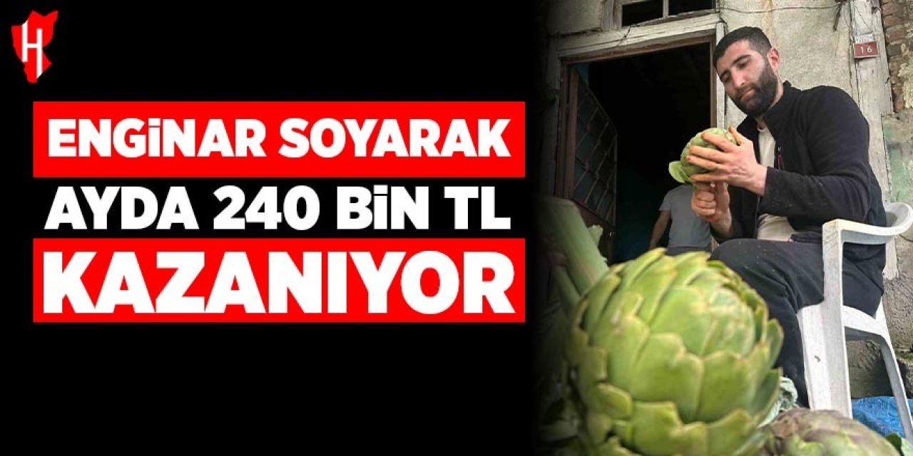Enginar soyarak ayda 240 bin lira kazanıyor