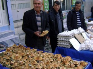 Mantar Pazar Tezgahlarda Yerini Koruyor