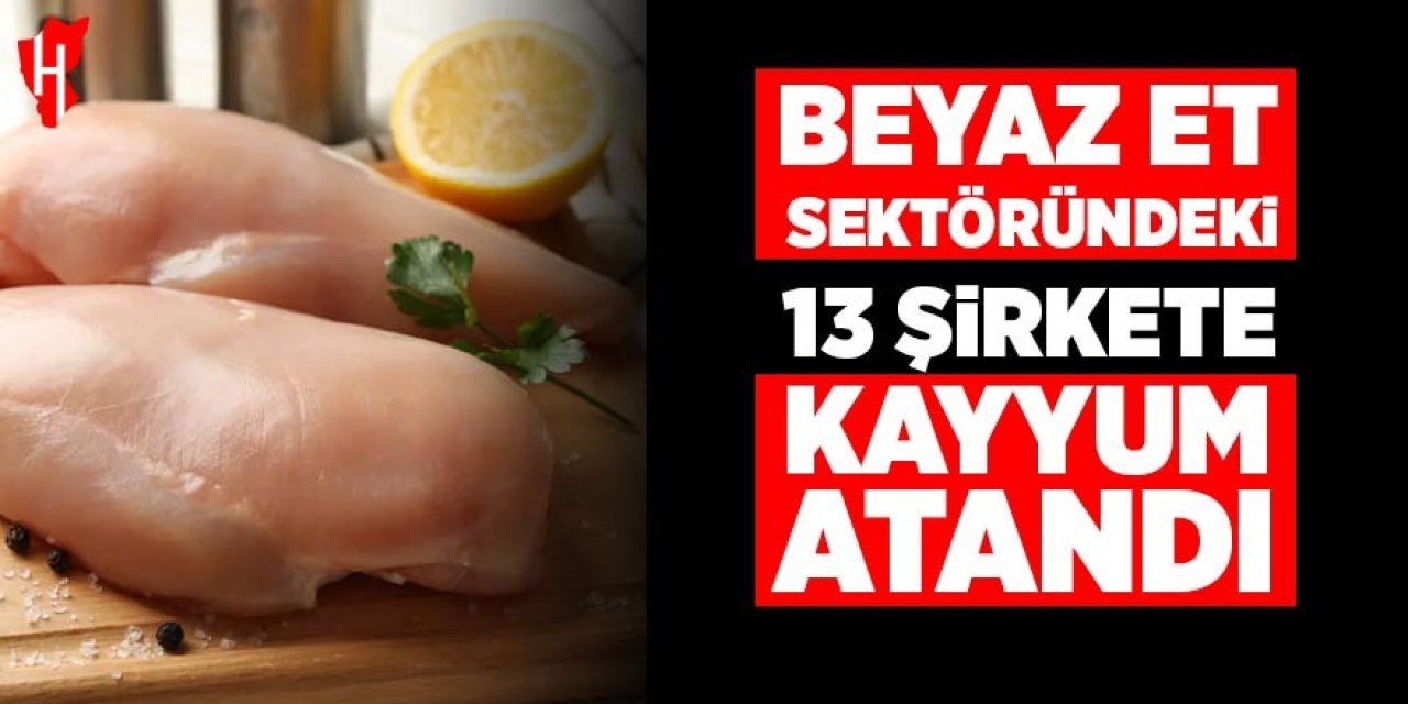 Beyaz et sektöründeki 13 şirkete kayyum atandı
