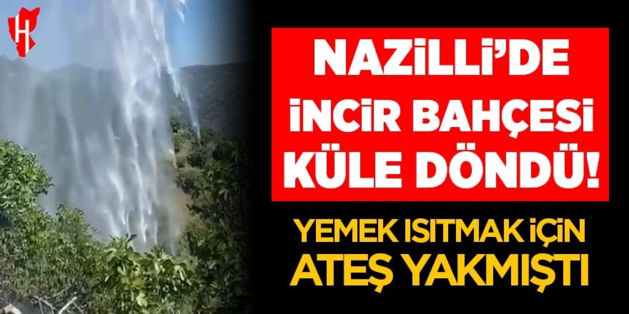 Nazilli'de yemek ısıtmak için yaktığı ateş incir bahçesini kül etti