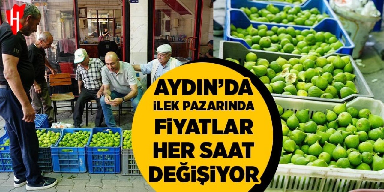 Aydın’da ilek pazarında fiyatlar her saat değişiyor