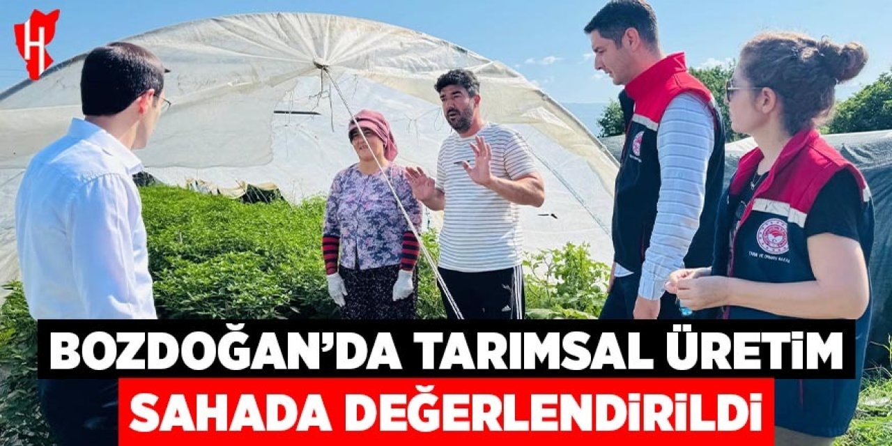 Bozdoğan’da tarımsal üretim sahada değerlendirildi