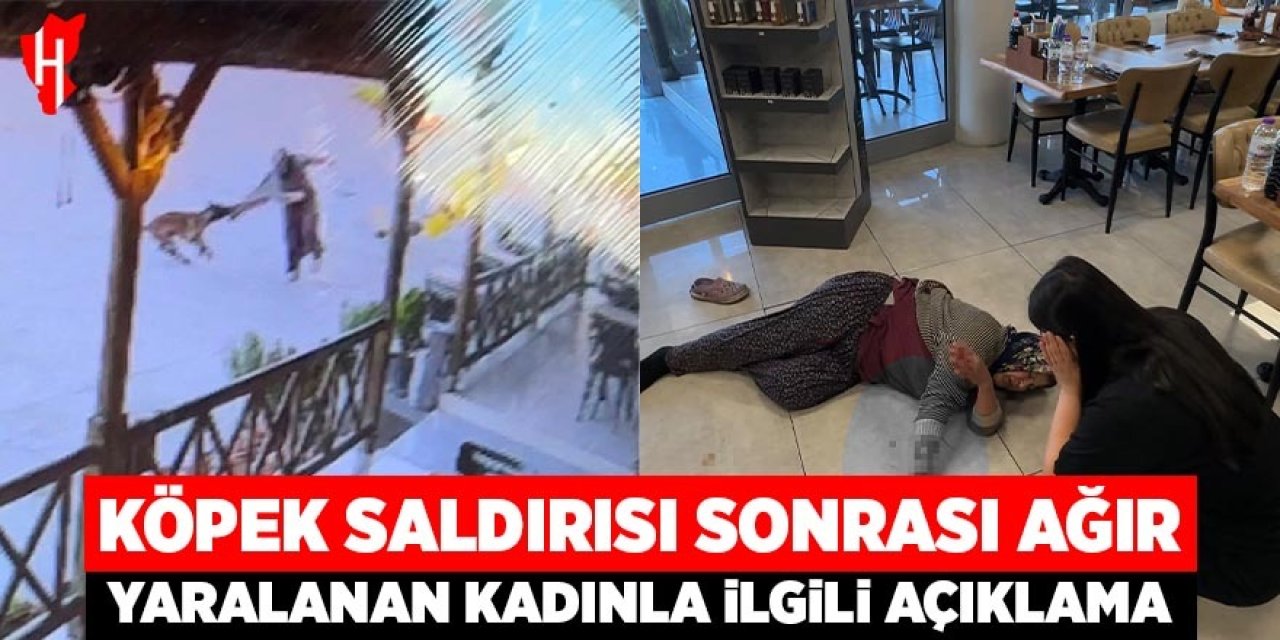 Köpeğin saldırısı sonrası ağır yaralanan kadınla ilgili açıklama