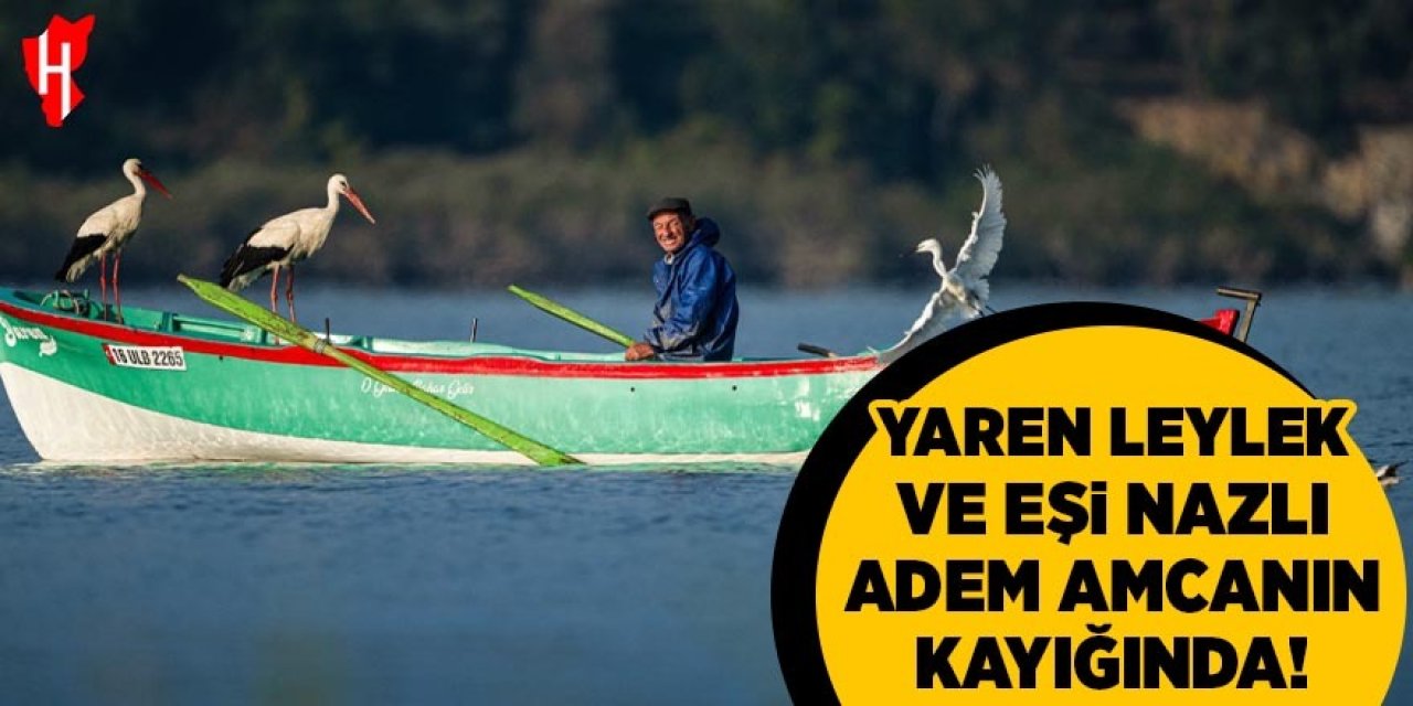 Yaren leylek ve eşi Nazlı Adem amcanın kayığına kondu