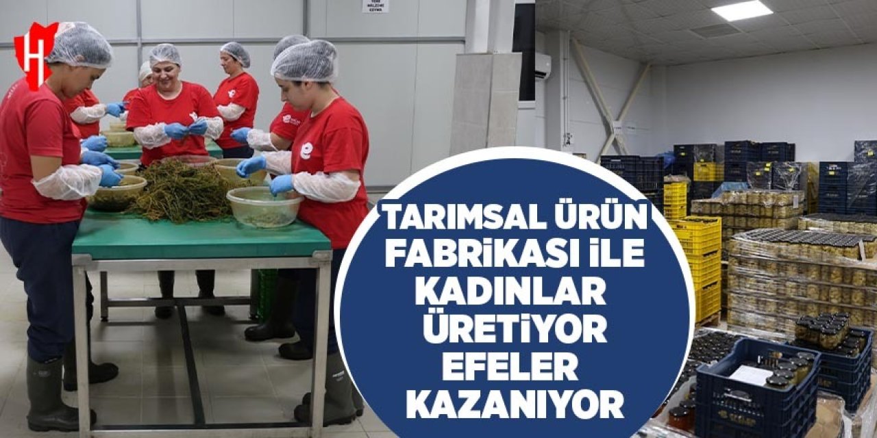 Tarımsal ürün fabrikası ile kadınlar üretiyor Efeler kazanıyor