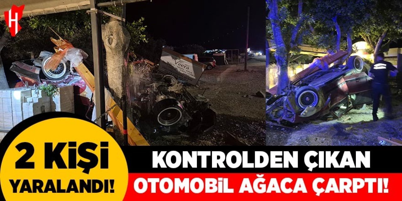 Kontrolden çıkan otomobil önce tabelaya ardından ağaca çarptı: 2 yaralı