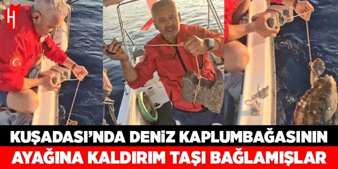 Vicdansızlık kamerada! Kuşadası'nda deniz kaplumbağasının ayağına kaldırım taşı bağlamışlar