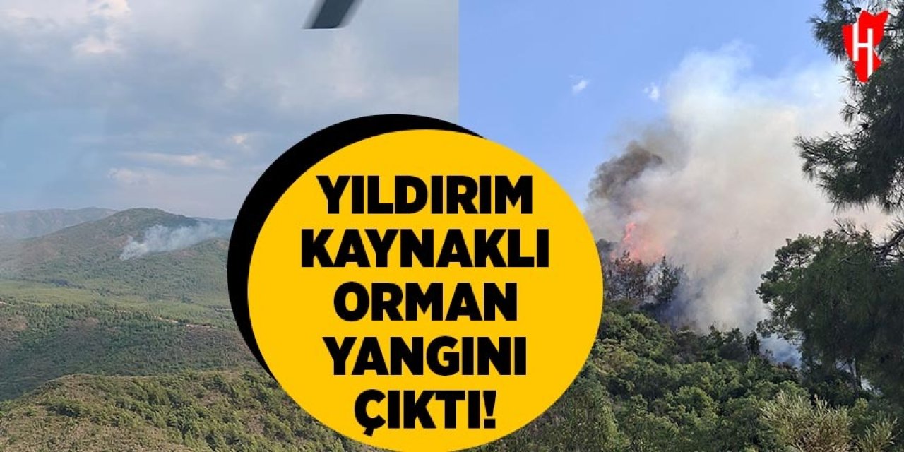 Yıldırım kaynaklı orman yangını çıktı!