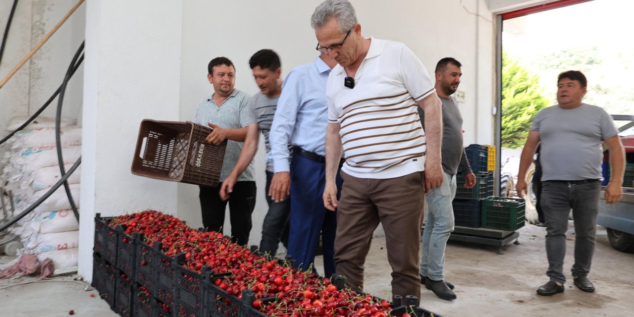 Nazilli Belediye Başkanı Tetik'ten üreticiye destek mesajı