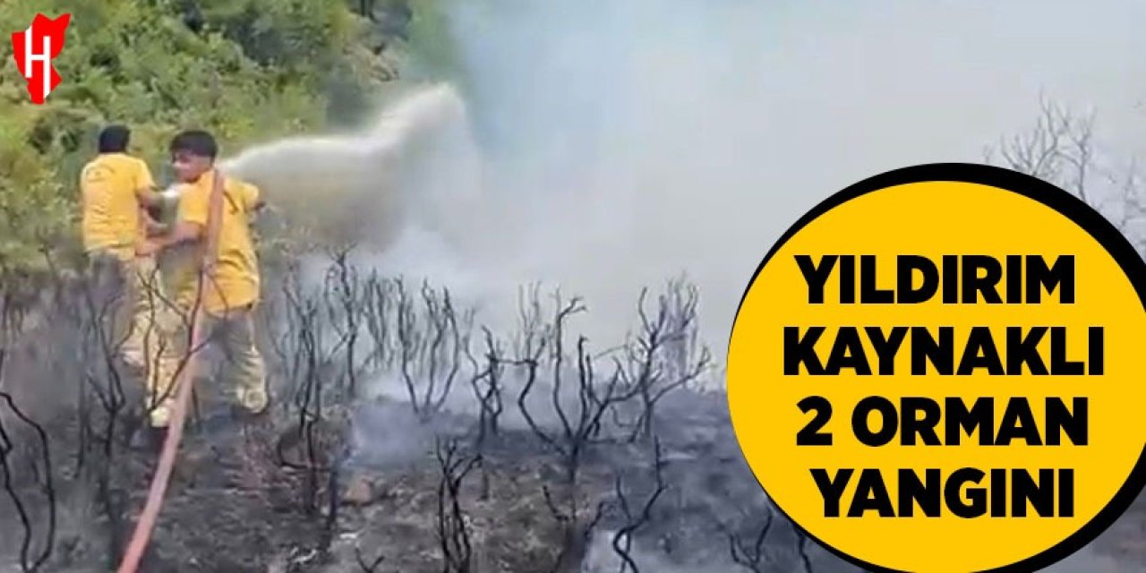 Yıldırım kaynaklı 2 orman yangını