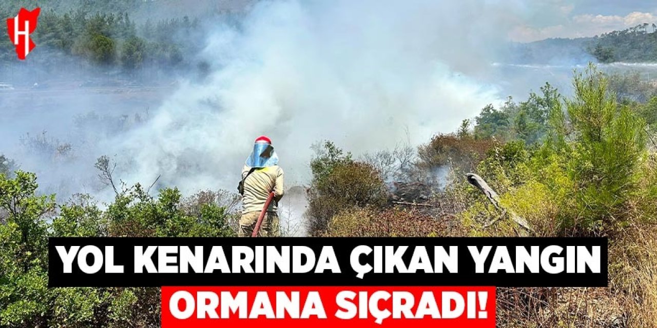 Yol kenarında çıkan yangını ormana sıçradı