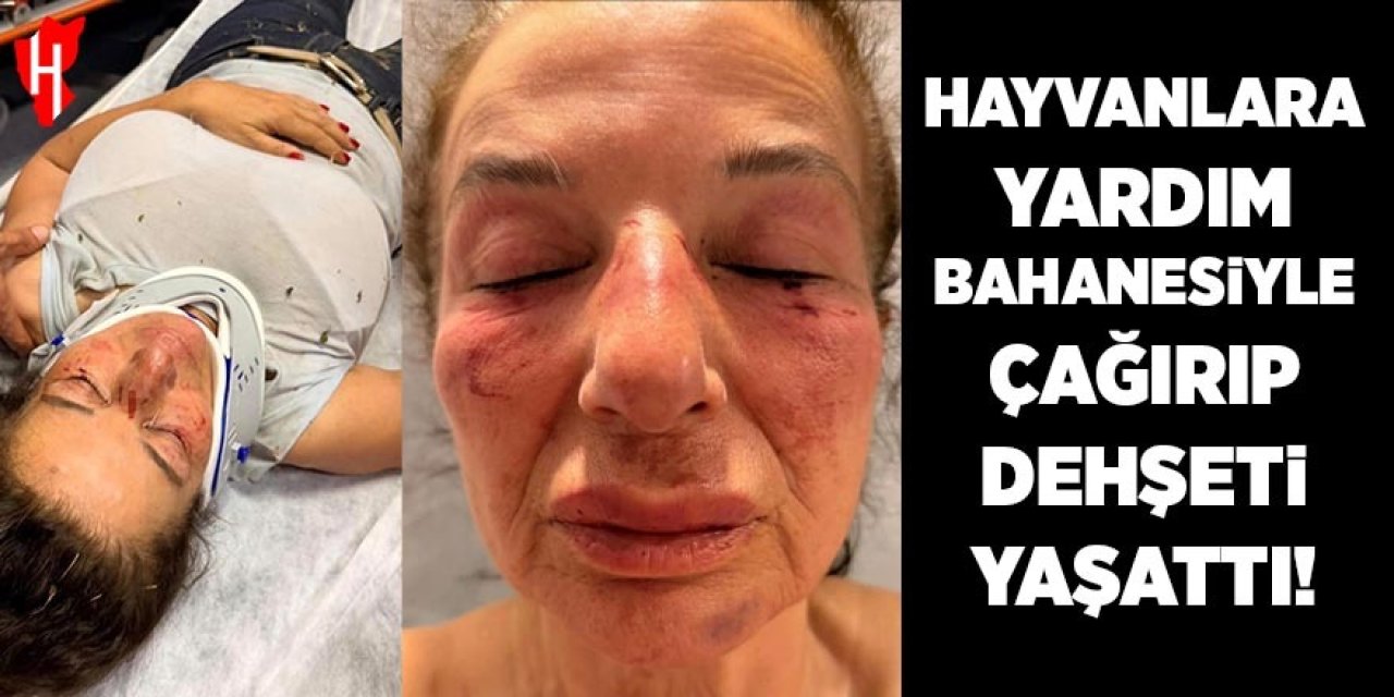Korkunç olay: Hayvanlara yardım bahanesiyle çağırdığı kadına dehşeti yaşattı!