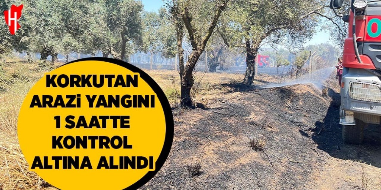 Korkutan arazi yangını 1 saatte kontrol altına alındı