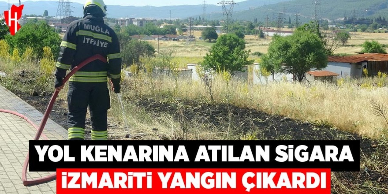 Yol kenarına atılan sigara izmariti yangın çıkardı