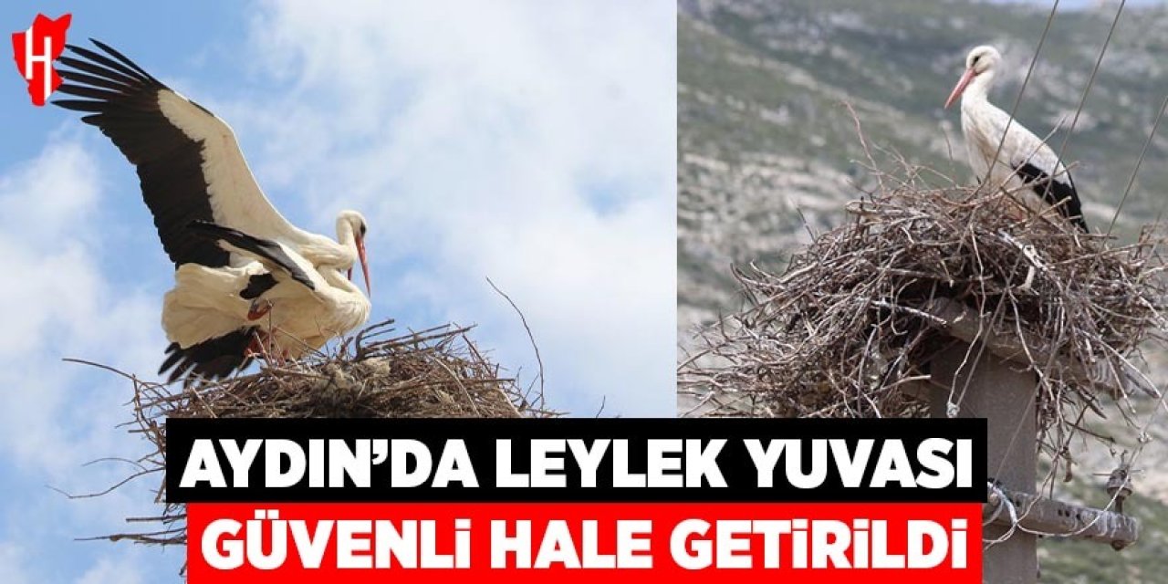 Aydın'da riskli durumdaki leylek yuvası güvenli hale getirildi