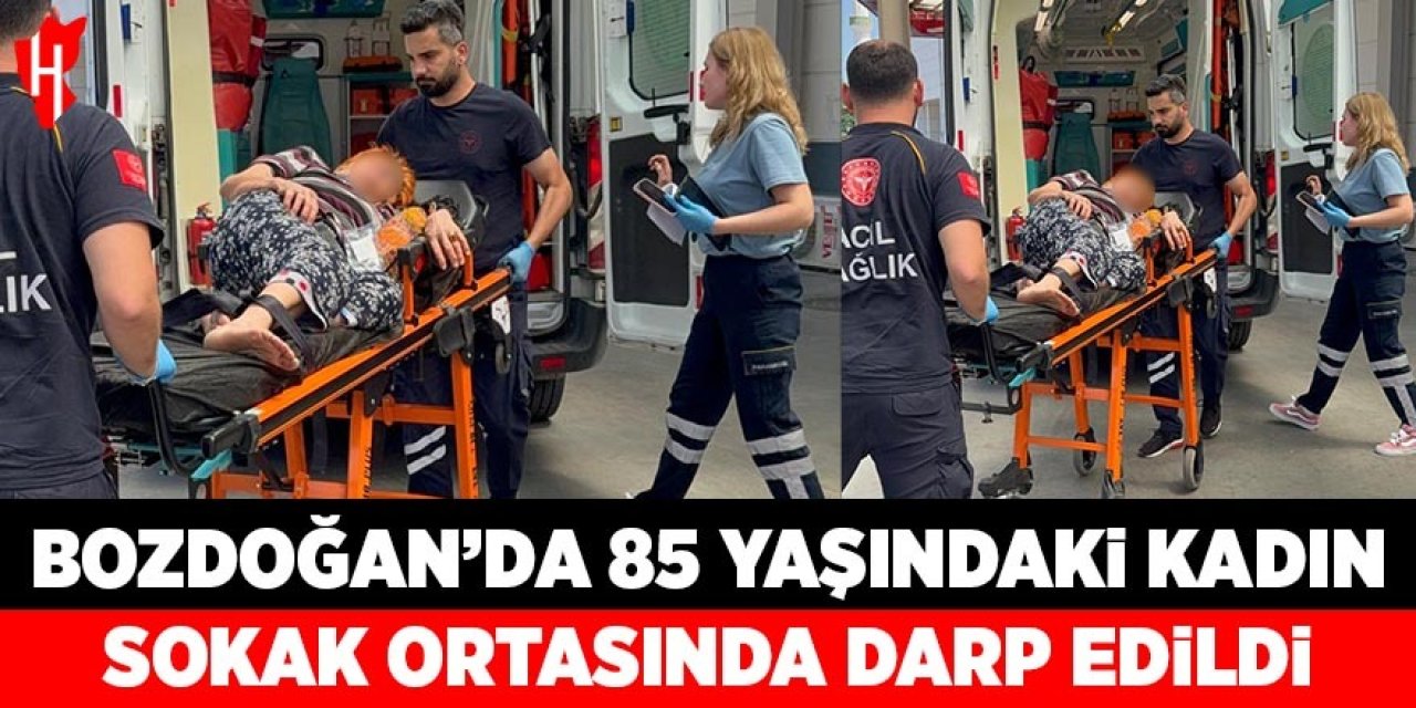 Bozdoğan'da 85 yaşındaki kadın sokak ortasında darp edildi