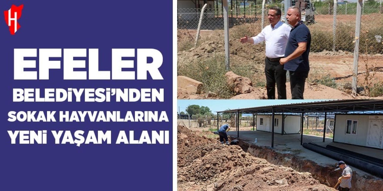 Efeler Belediyesi'nden sokak hayvanları için yeni yaşam alanı