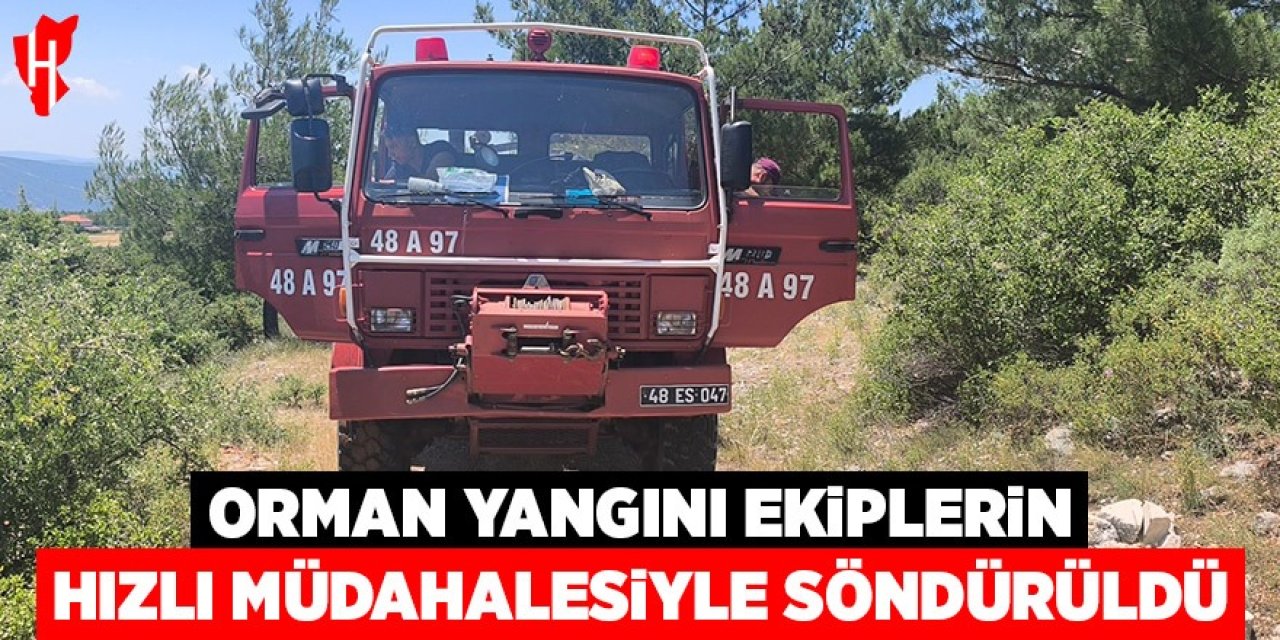 Orman yangını ekiplerin hızlı müdahalesi ile söndürüldü